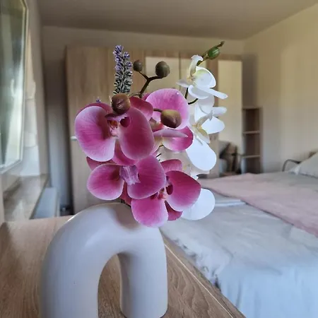 Orange House Sempeter