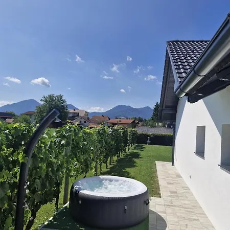 Orange House Sempeter Vikendica