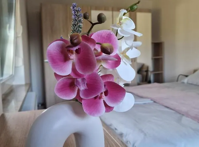 Orange House Sempeter